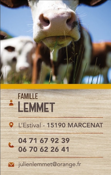 Famille Lemmet – L’Estival, Marcenat